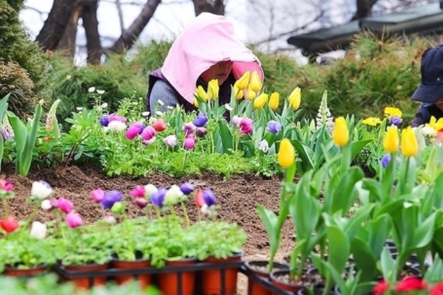 봄꽃으로 단장하는 왕십리 광장