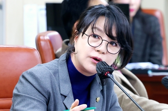 김혜영 시의원, “‘서울달’, 서울관광 대표 브랜드로 키워야”