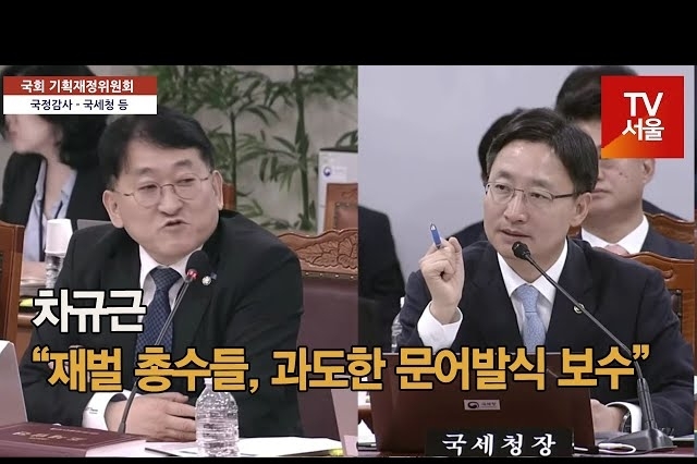 [영상] 차규근, “재벌 총수들 문어발식 보수 받고 있어”