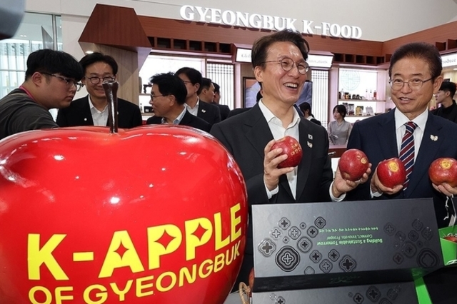 경주APEC 계기로 'K-컬처' 열풍 이어간다…"세계인에 감동 선사"
