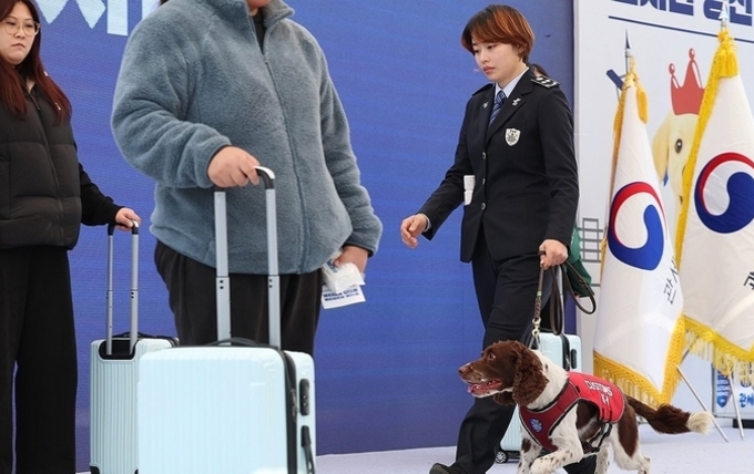 최근 5년 외국인 여행자 세관위반 최다국은 中…"면세초과 최다"